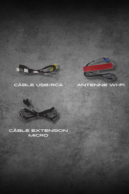 Boîtier CarPlay BMW Série 3 F30/F31/F34/F35 (poste NBT)
